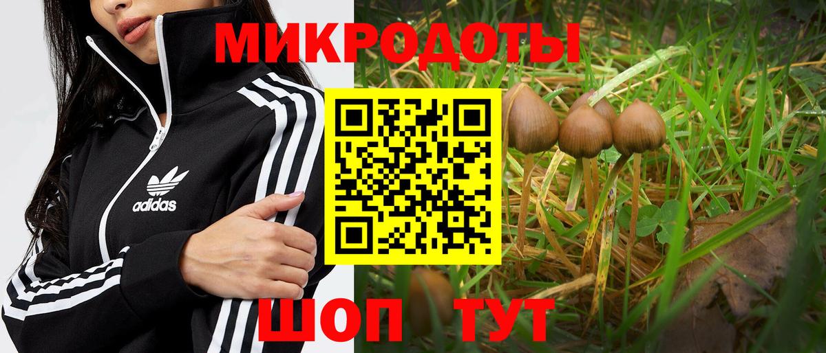 Псилоцибиновые грибы Magic Shrooms Нижний Тагил